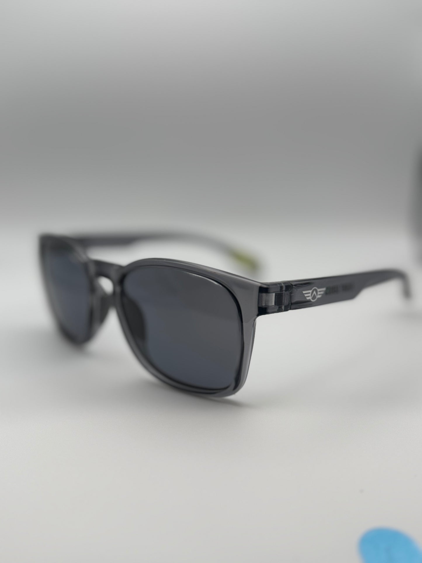 Black sunglasses on a light gray background
